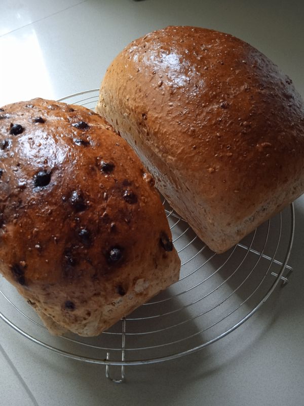 Speltbrood natuur of met rozijnen