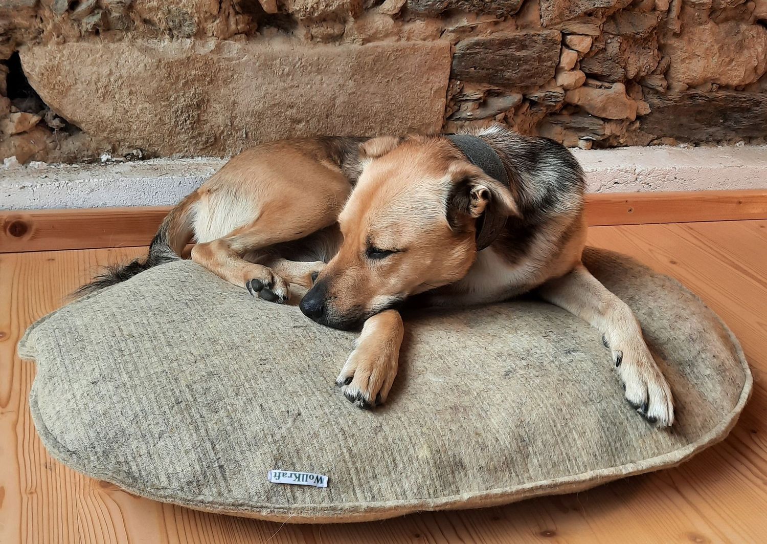 Hundebett oval