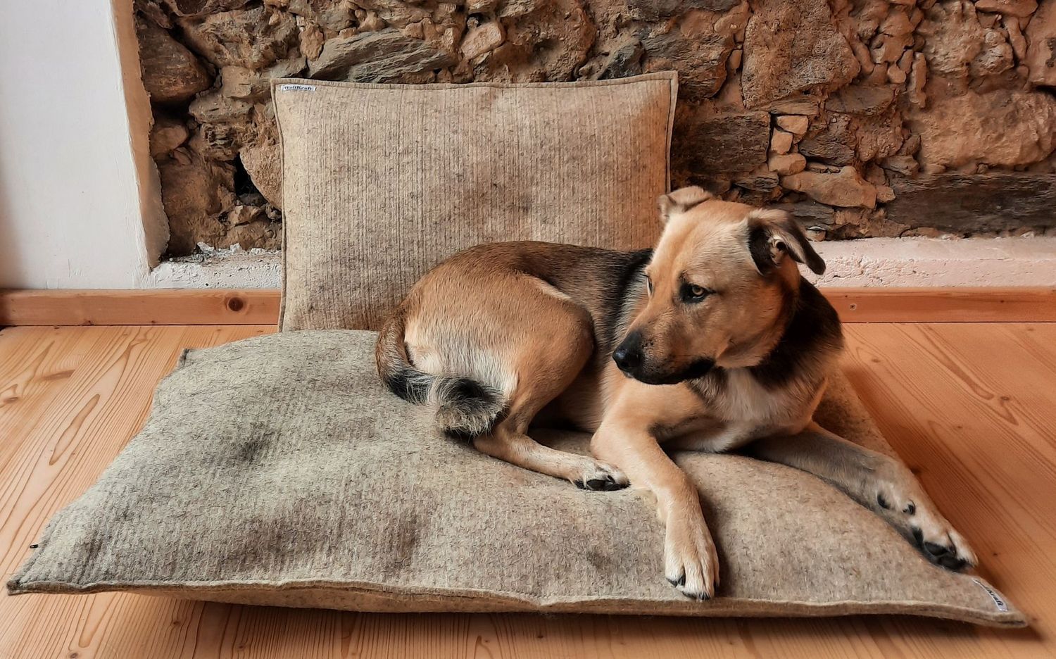 Hundebett eckig