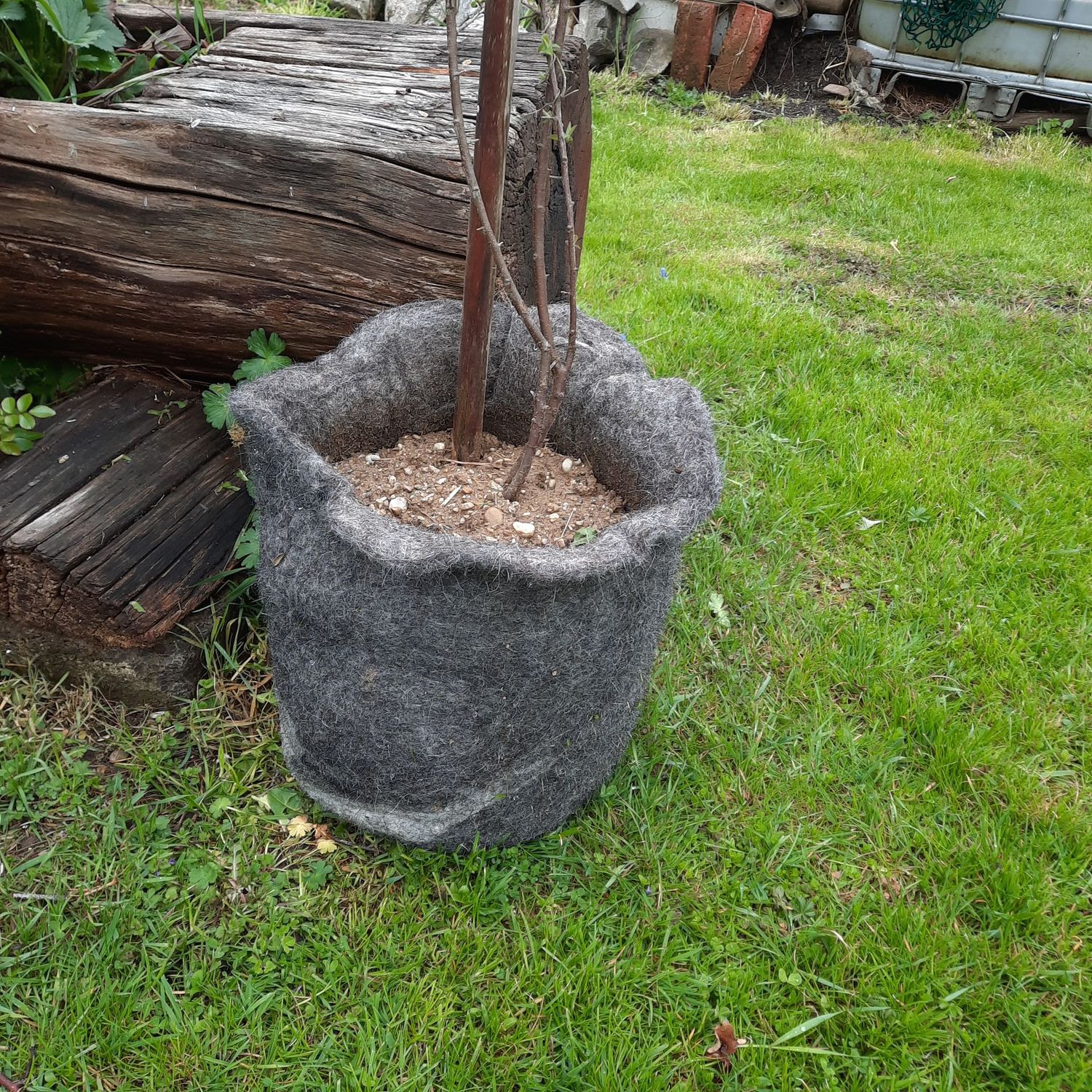 Wollmantel für Topfpflanzen