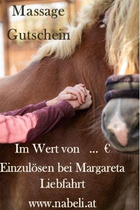 Gutschein für Tiermassage