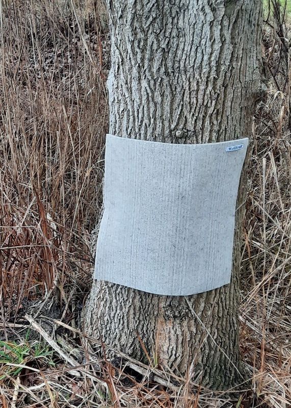 Baummatte für Bogenschützen