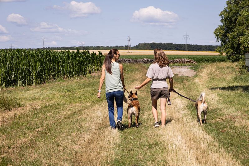 Coaching und Workshops