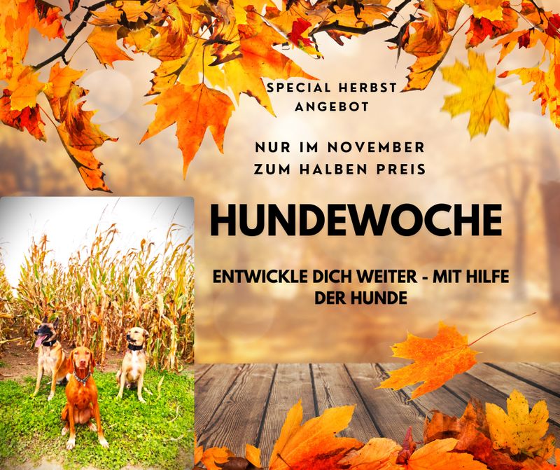 Hundewoche