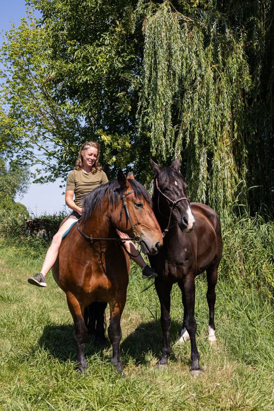 Tiergestützte Persönlichkeitsentwicklung