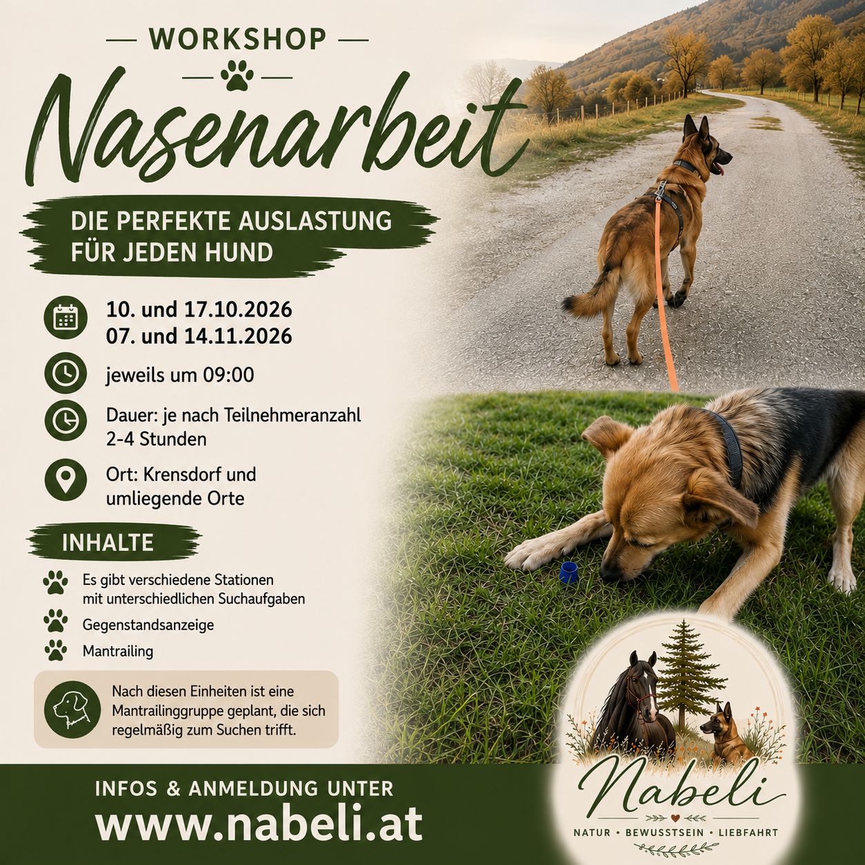 Workshop Nasenarbeit