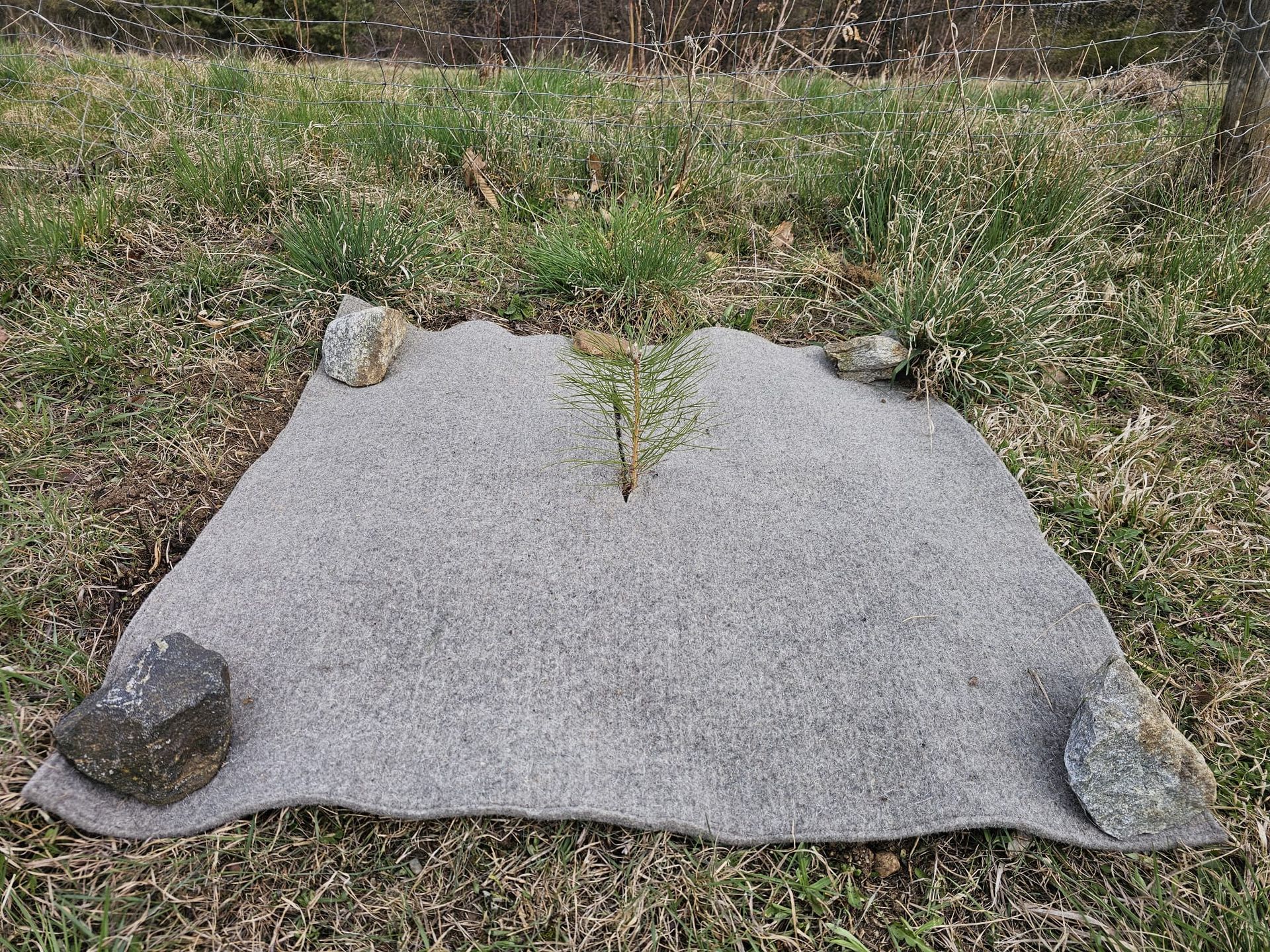 Mulchmatte