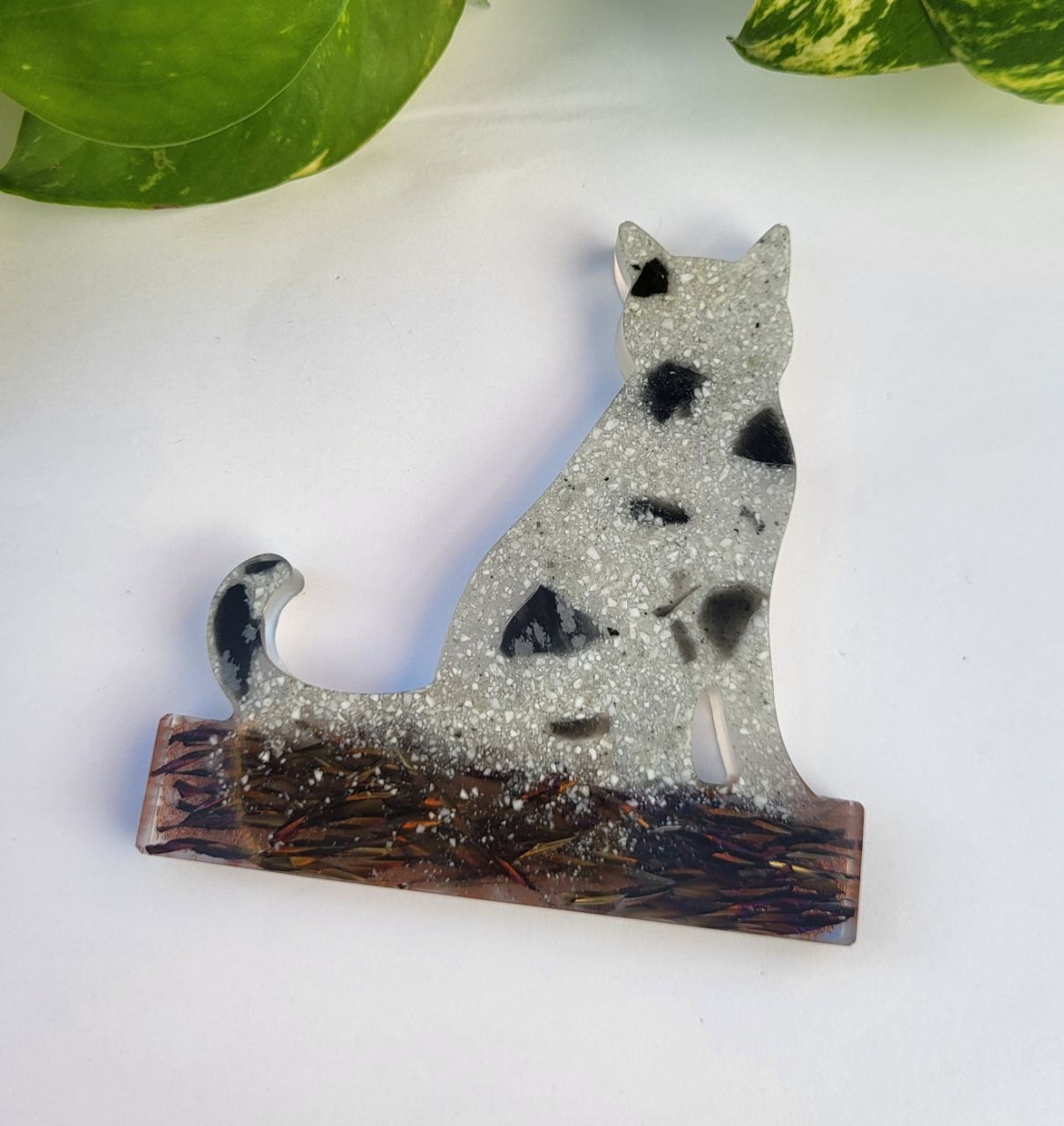 Orgonit Schattenwurf Katze