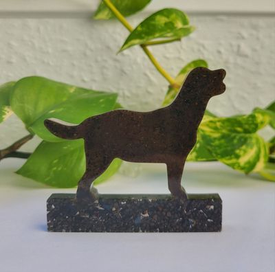 Orgonit Schattenwurf Hund