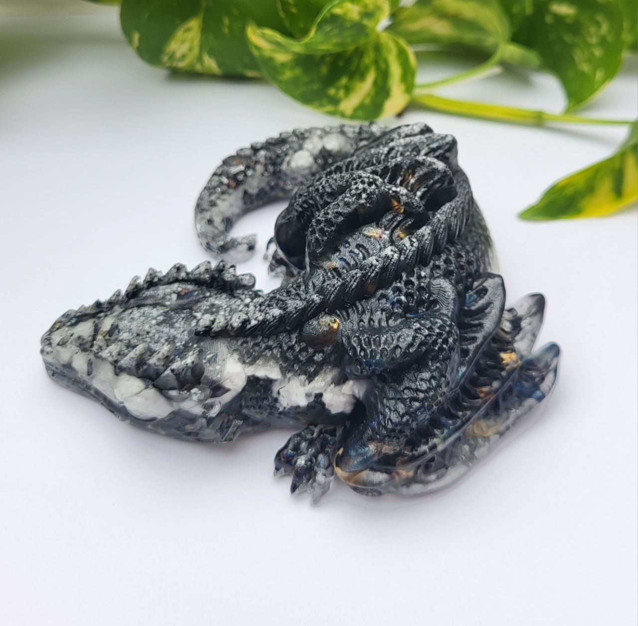 Orgonit Drache