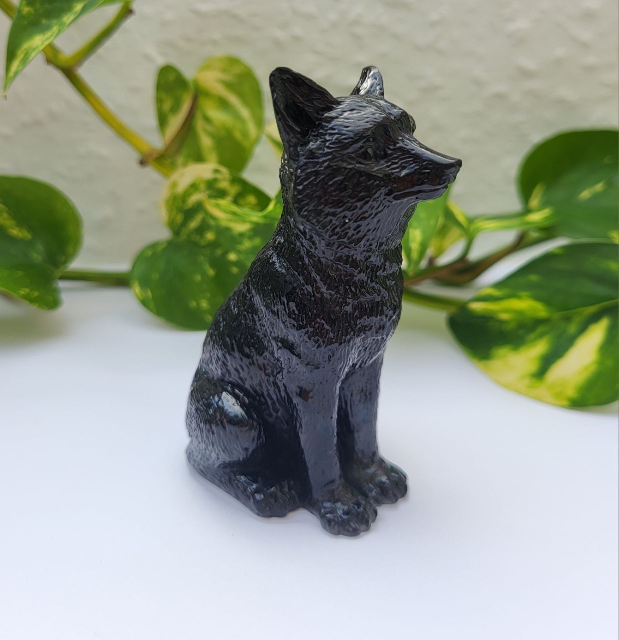 Orgonit Wolf