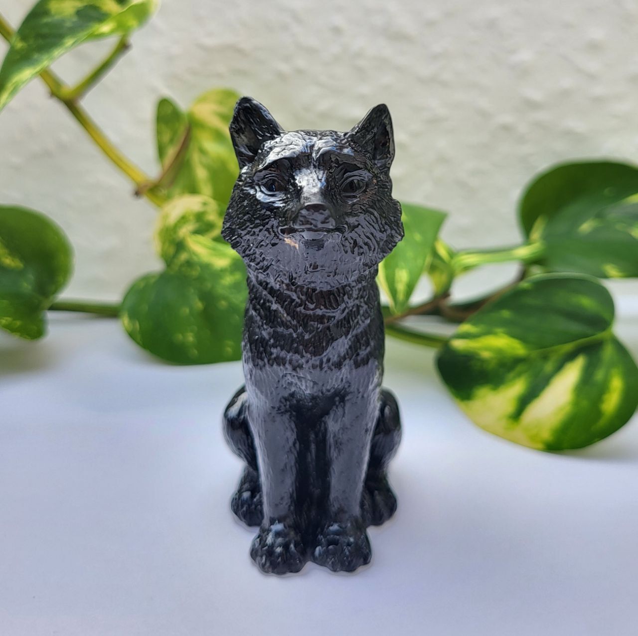 Orgonit Wolf