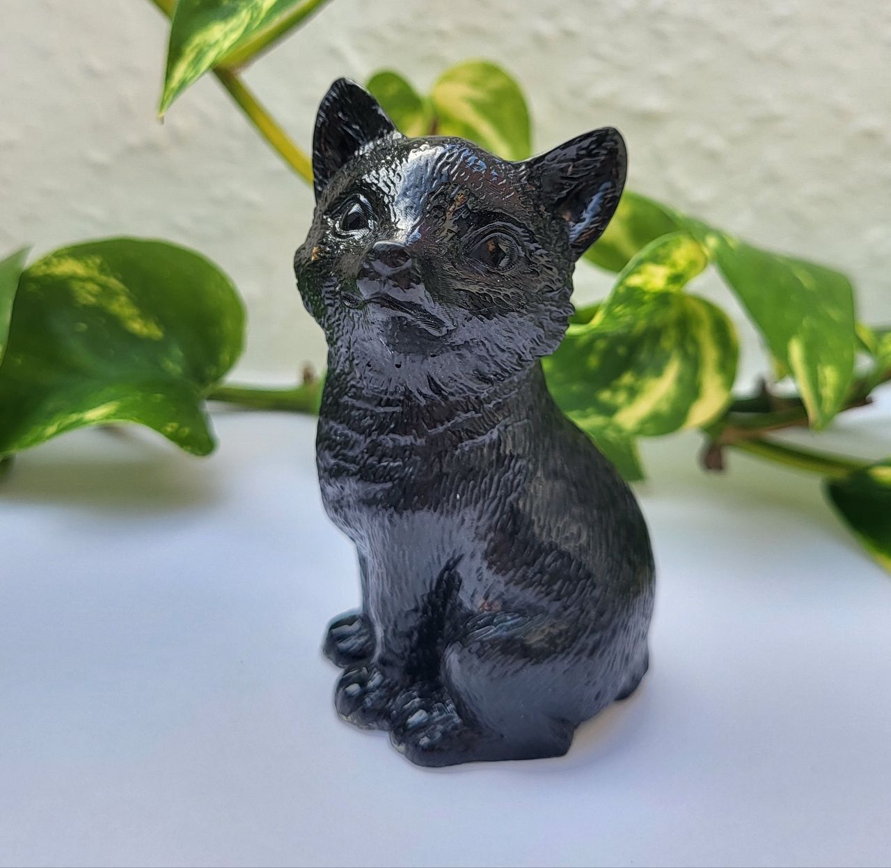 Orgonit Wolf