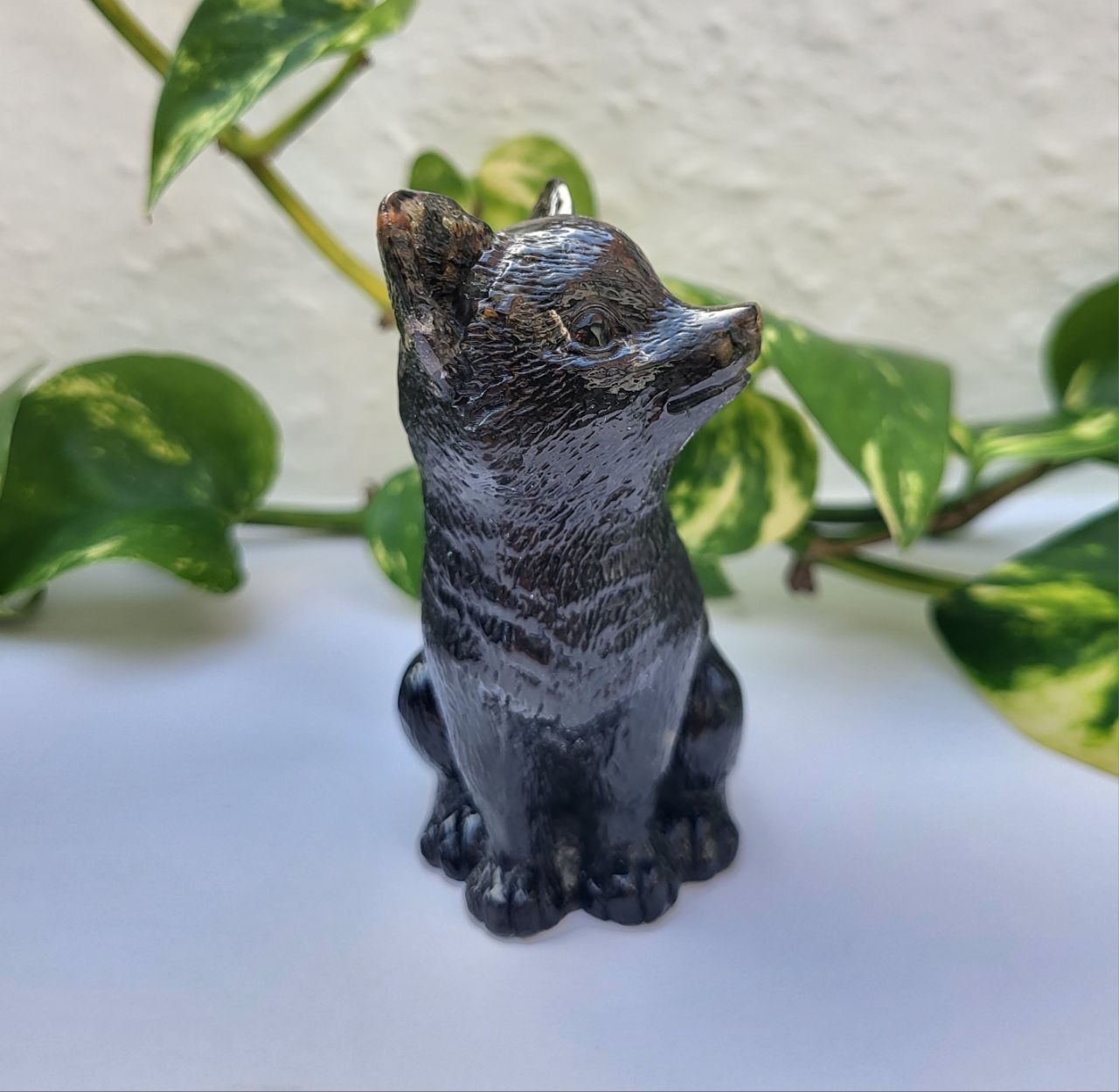 Orgonit Wolf