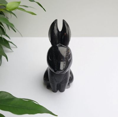 Orgonit Hase