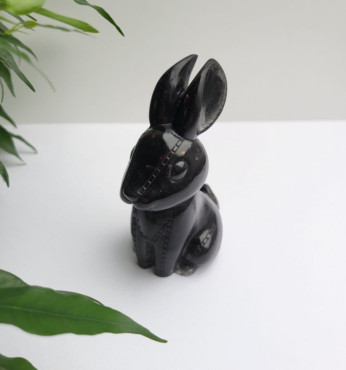 Orgonit Hase
