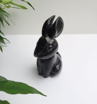 Orgonit Hase Orgonit Hase