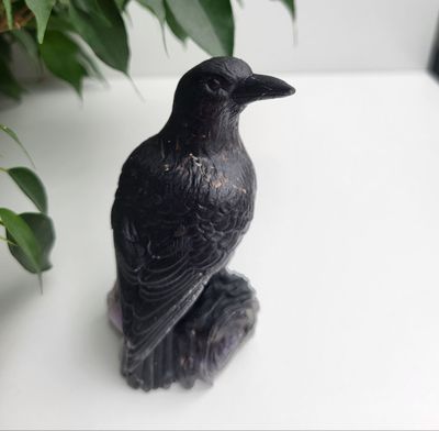 Orgonit Rabe Orgonit Rabe