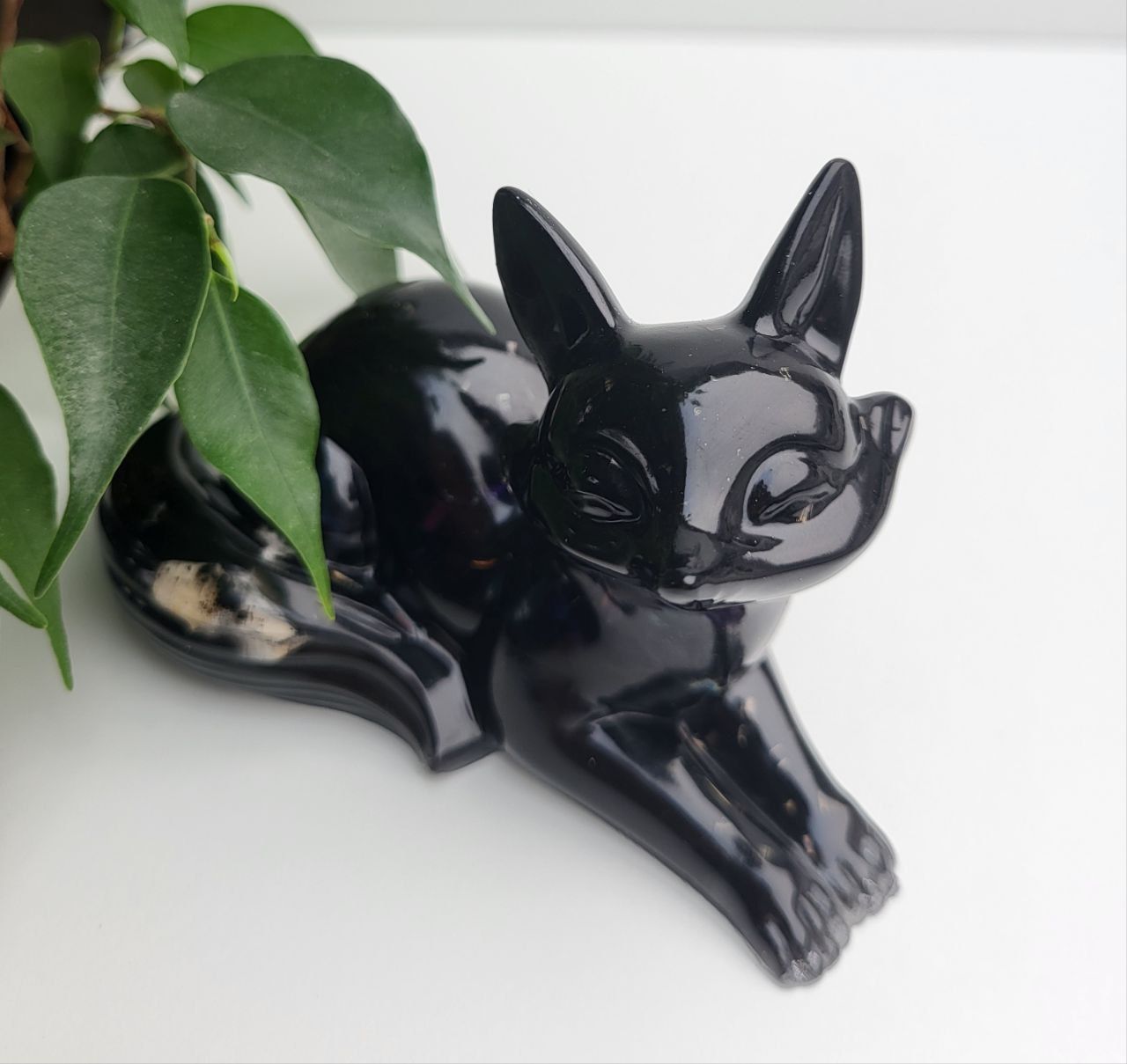 Orgonit Fuchs