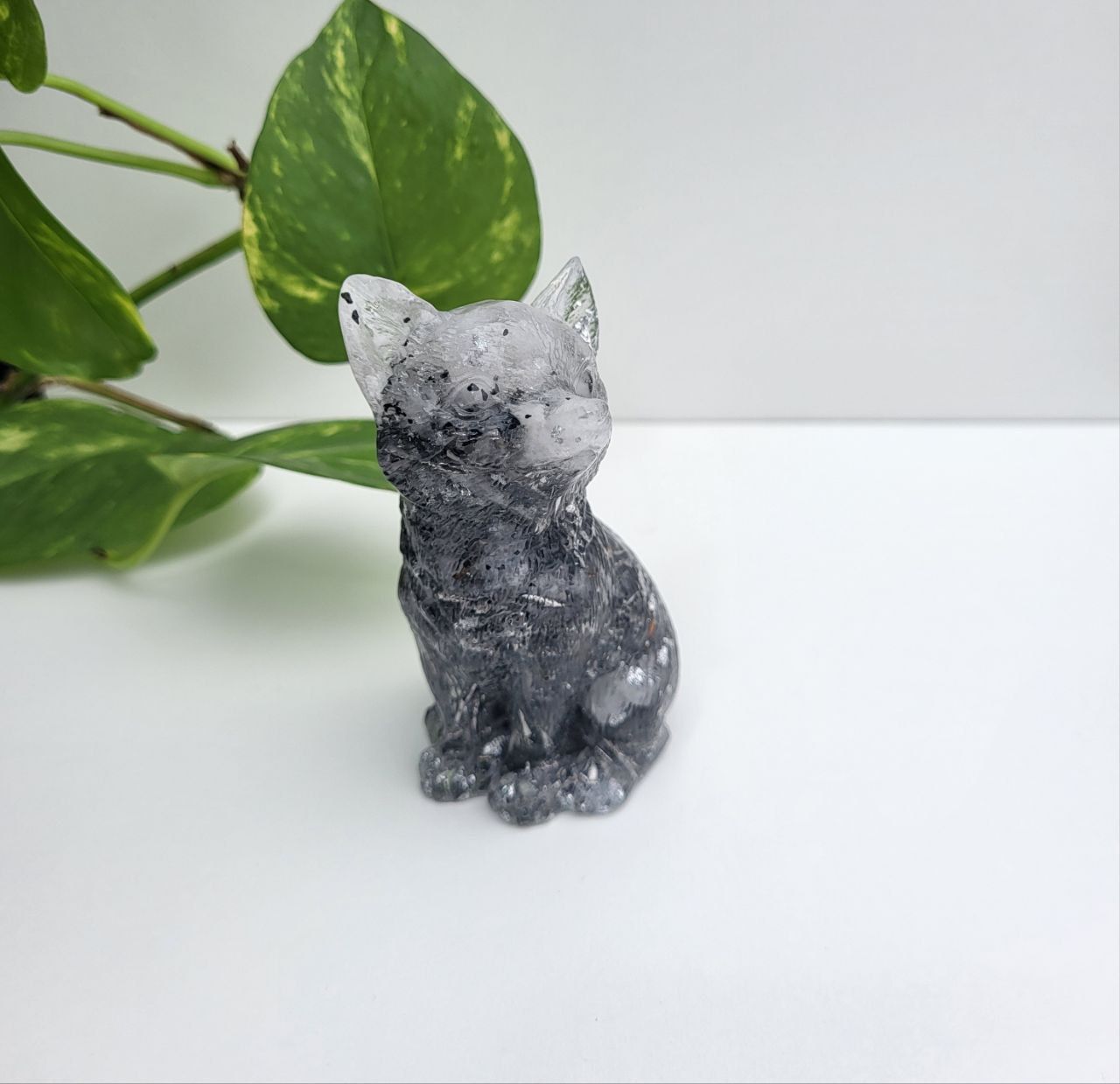 Orgonit Wolf