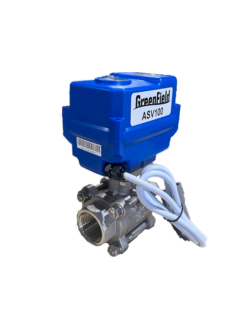 Automatic Security Valve