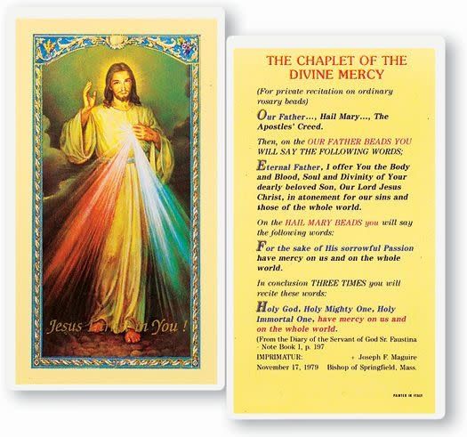 THE CHAPLET OF DIVINE MERCY HOLY CARD 2.5&quot;X4.5&quot;