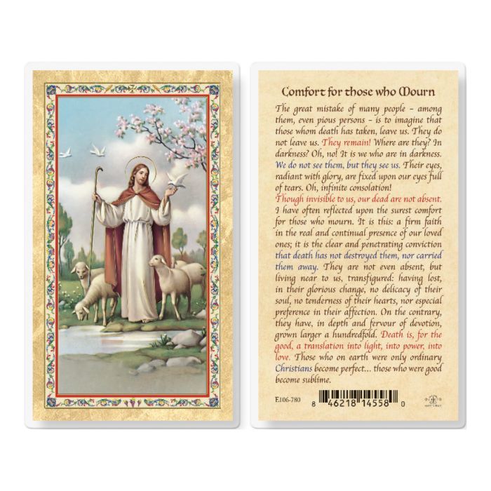 COMFORT FOR THOSE WHO MOURN HOLY CARD