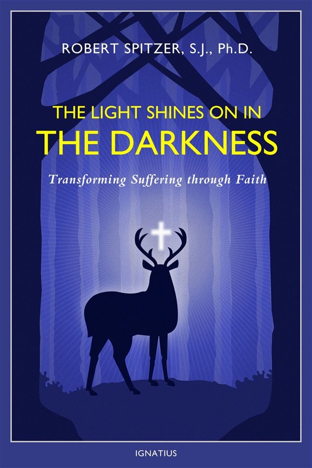 THE LIGHT SHINES ON IN THE DARKNESS - FR. ROBERT SPITZER