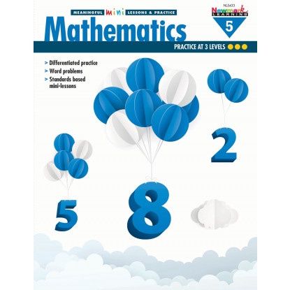 5433 Mathematics GR 5 Meaningful Mini-Lessons &amp;amp; Practice Set