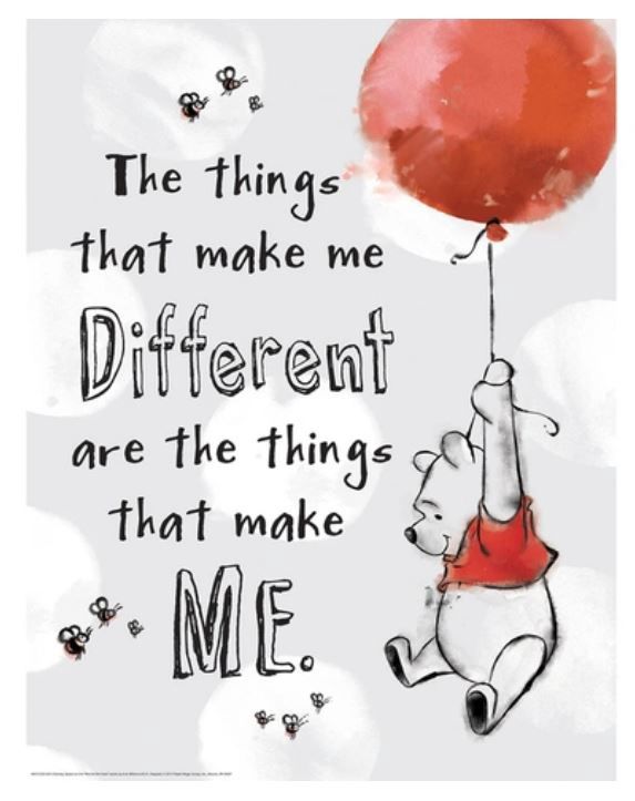 Winnie the Pooh The Things That Make Me Different Poster