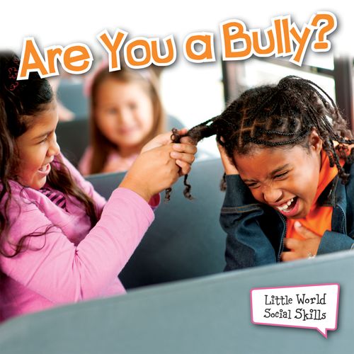 Are You a Bully? Little World Social Skills Book