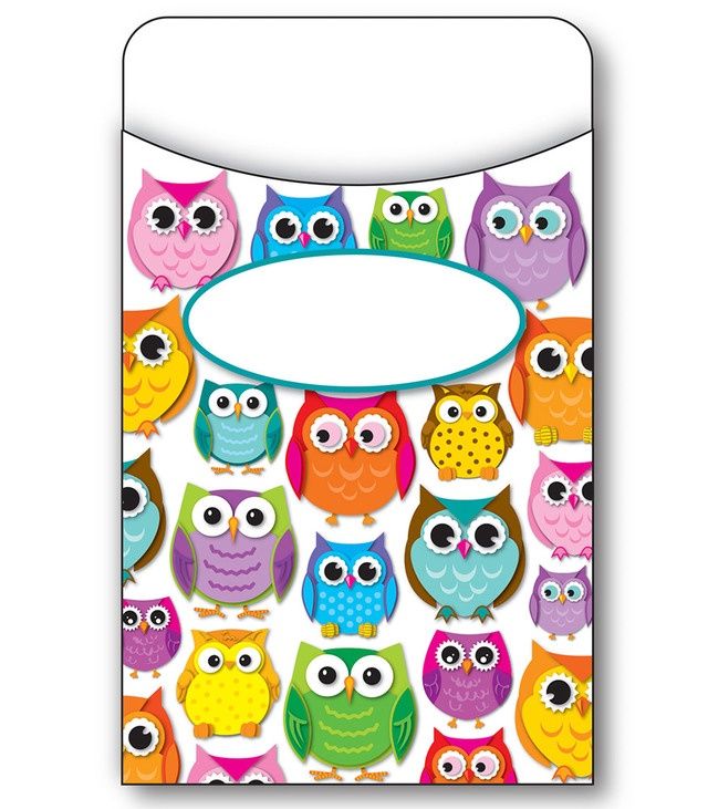 Colorful Owls Library Pockets
