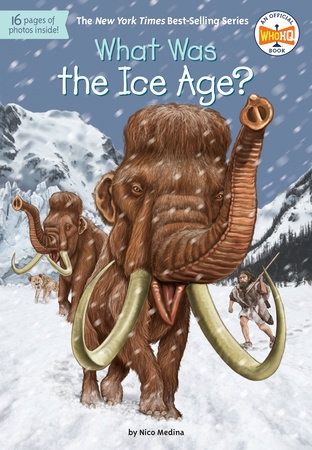 What Was the Ice Age? Book