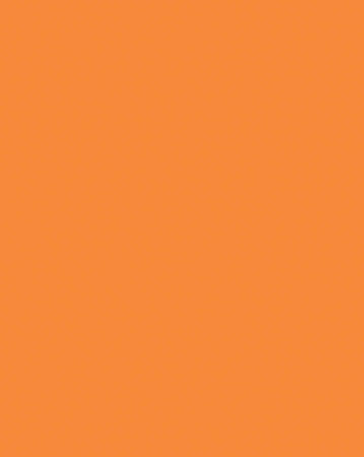 Hot Red Poster Board 22x28 Coated