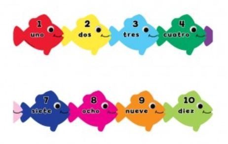 Border Counting Spanish