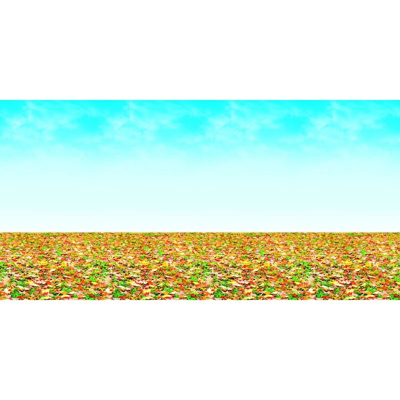 Fadeless Roll 48x50 Autumn Landscape