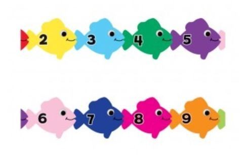 Counting Fish Border