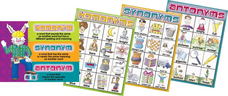Hom/Syn/Ant Chart Set