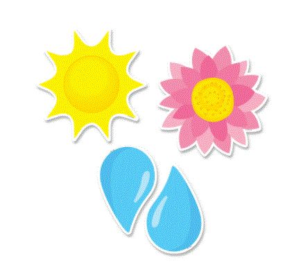 Farm Friends Sunny Blooms 6&quot; Designer Cut-Outs