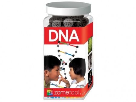 DNA Kit