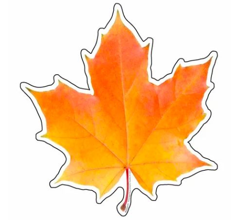 Photo Leaf Paper Cut-Outs
