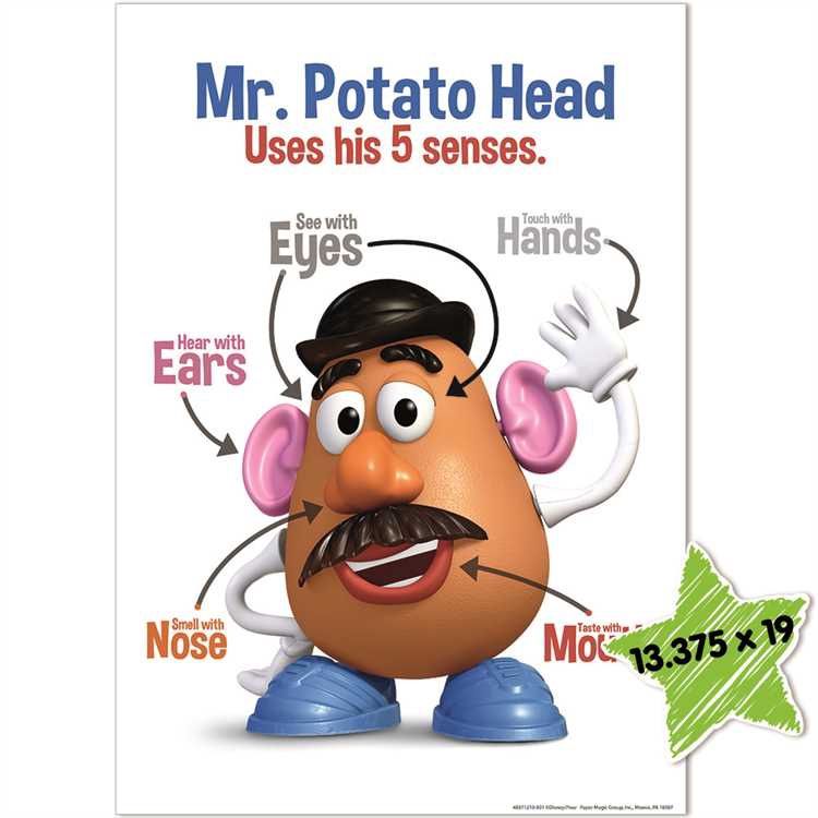 Mr. Potato Head 5 Senses