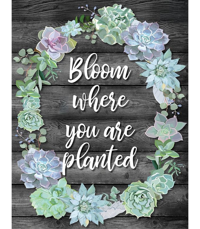 Simply Stylish Bloom Where You Are Planted Poster