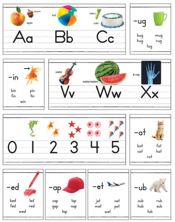 Photographic Alphabet Line Bulletin Board Set Grade PK-2