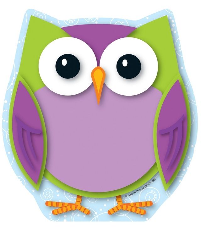 151065 Colorful Owl Notepad