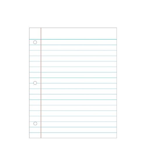 22.5x28.5 Chart Notebook Paper (Large)