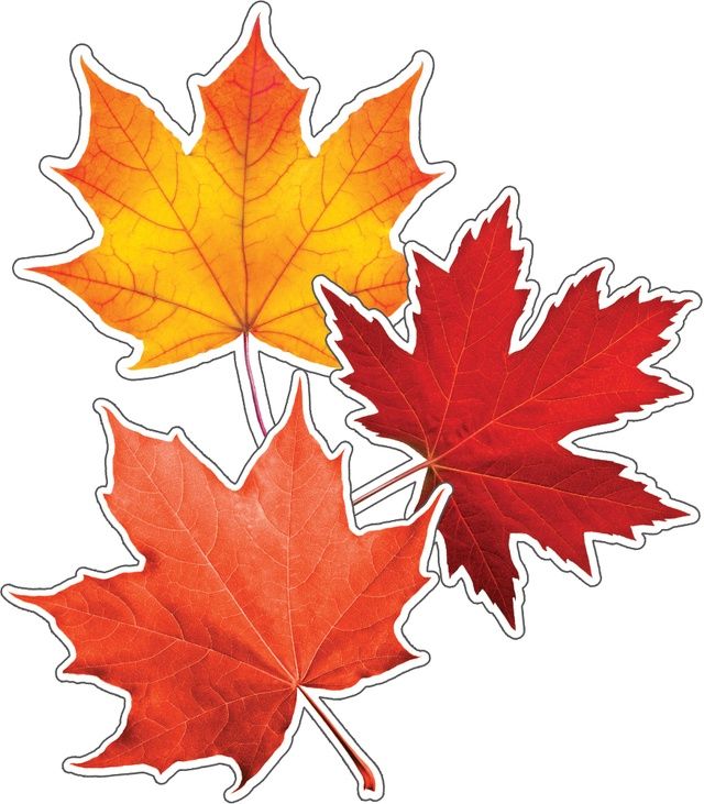 Fall Leaves Cut-Outs