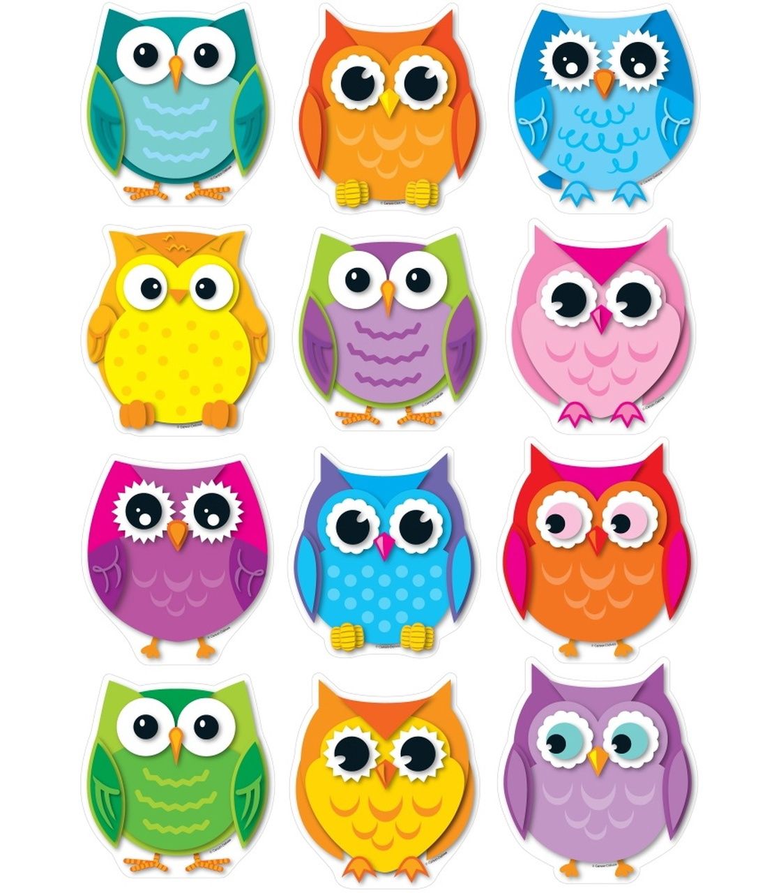 Colorful Owls Assorted Accents