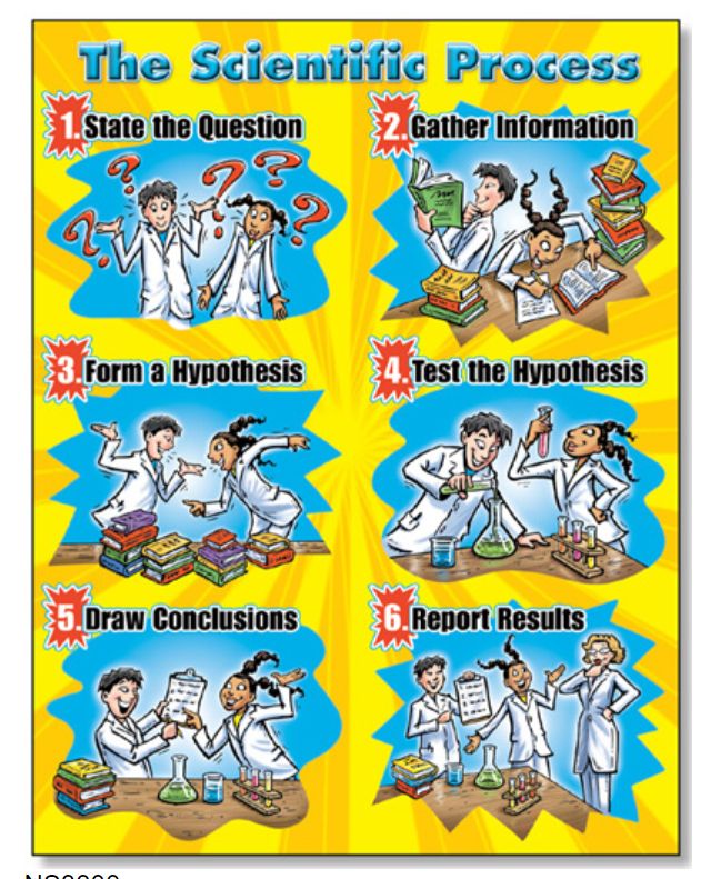 The Scientific Process Quick-Study Poster