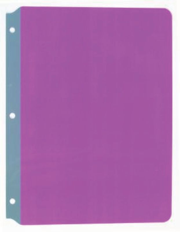 PURPLE Full Page Reading Guide